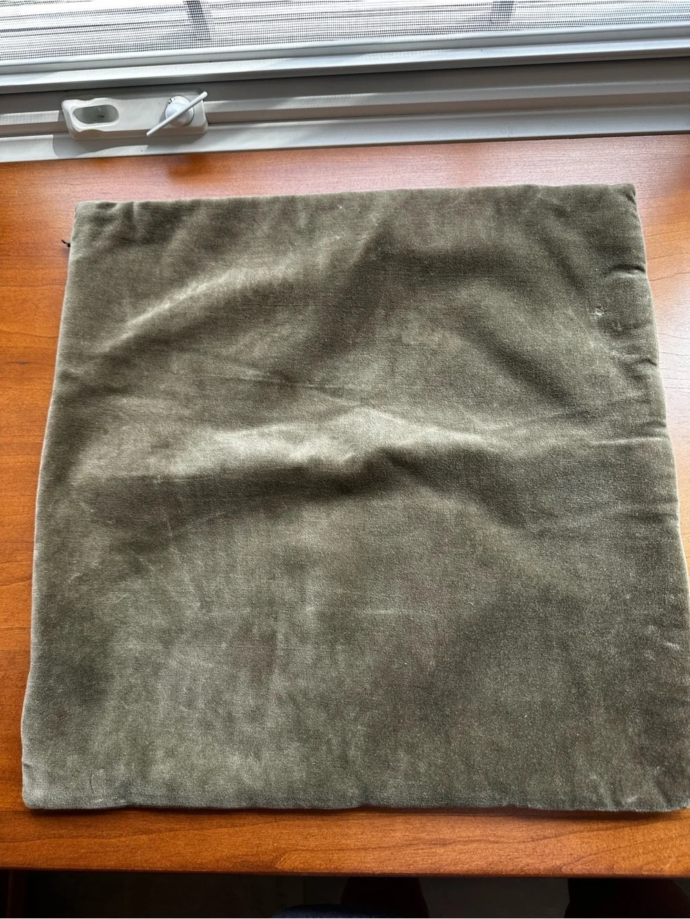 Threshold Plush Velvet Pillow Cover in Olive Green